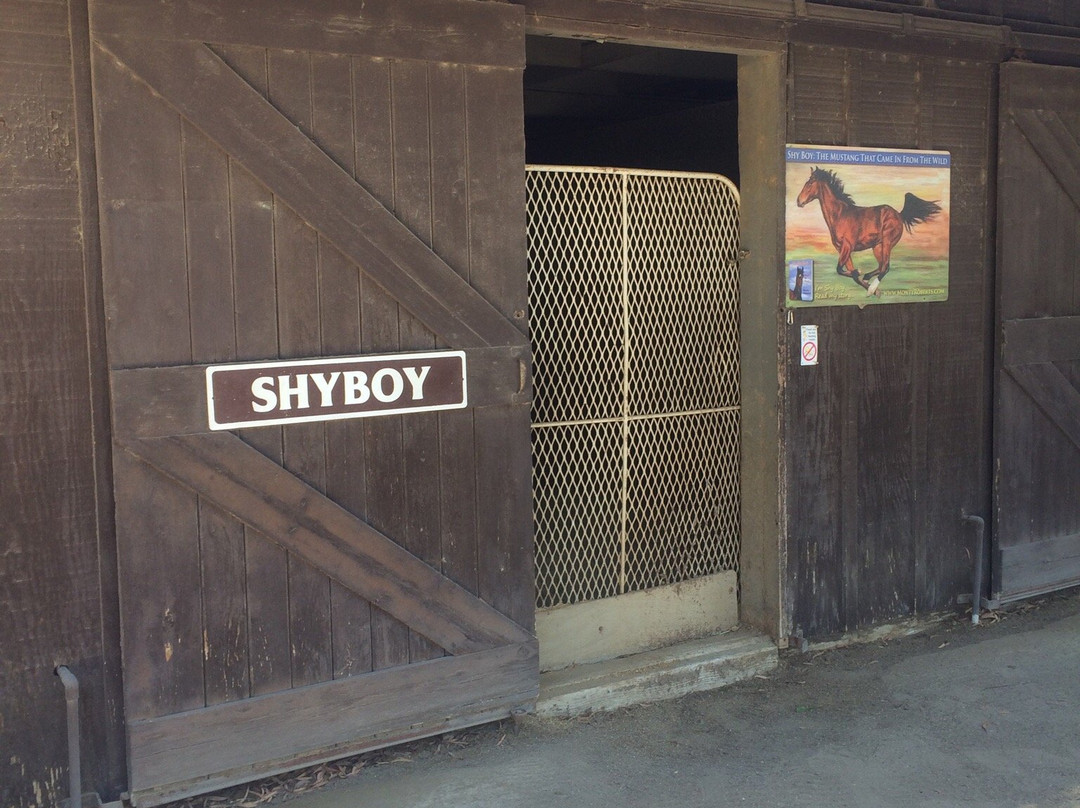 Flag Is Up Farms-索尔万必去景点