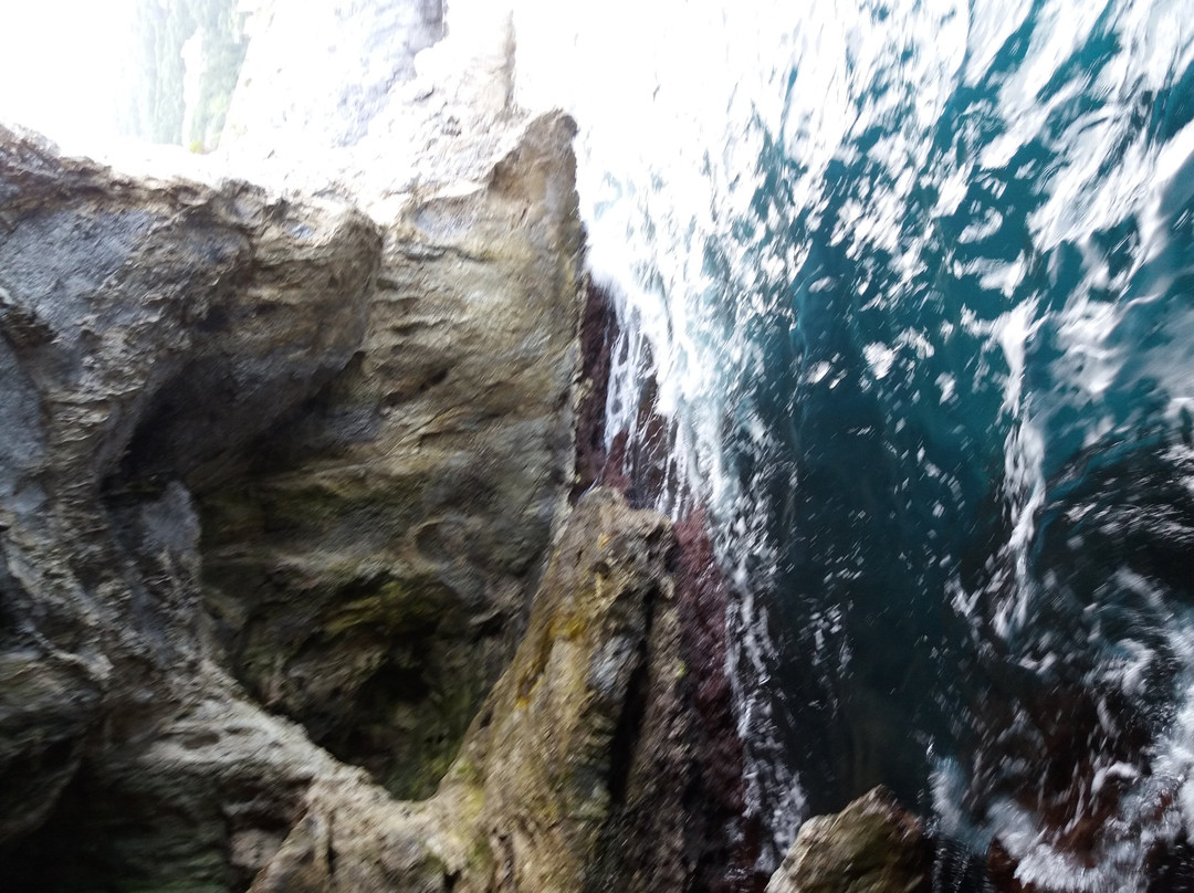 Grotta Marina di Bergeggi景点图片