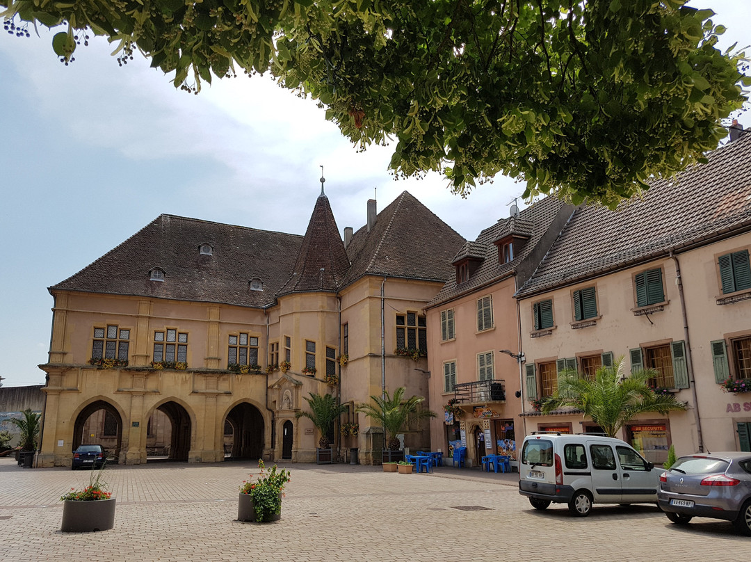 Musée de la Régence景点图片