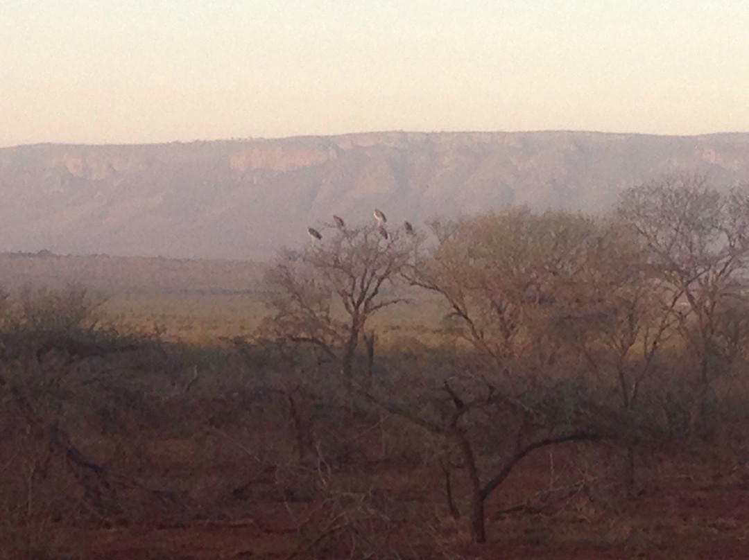 Pongola Nature Reserve