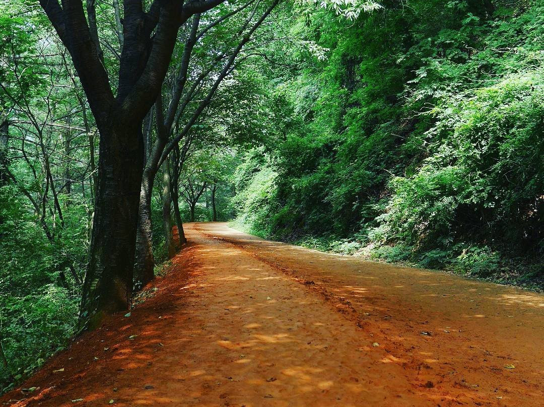 Gyejoksan Mountain Red Clay Trail-大田必去景点