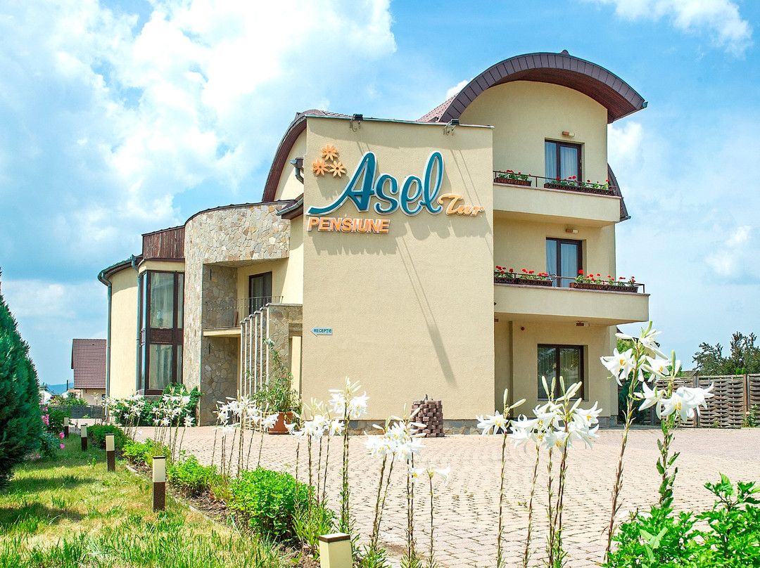 Halchiu酒店住宿-AselTur Brasov