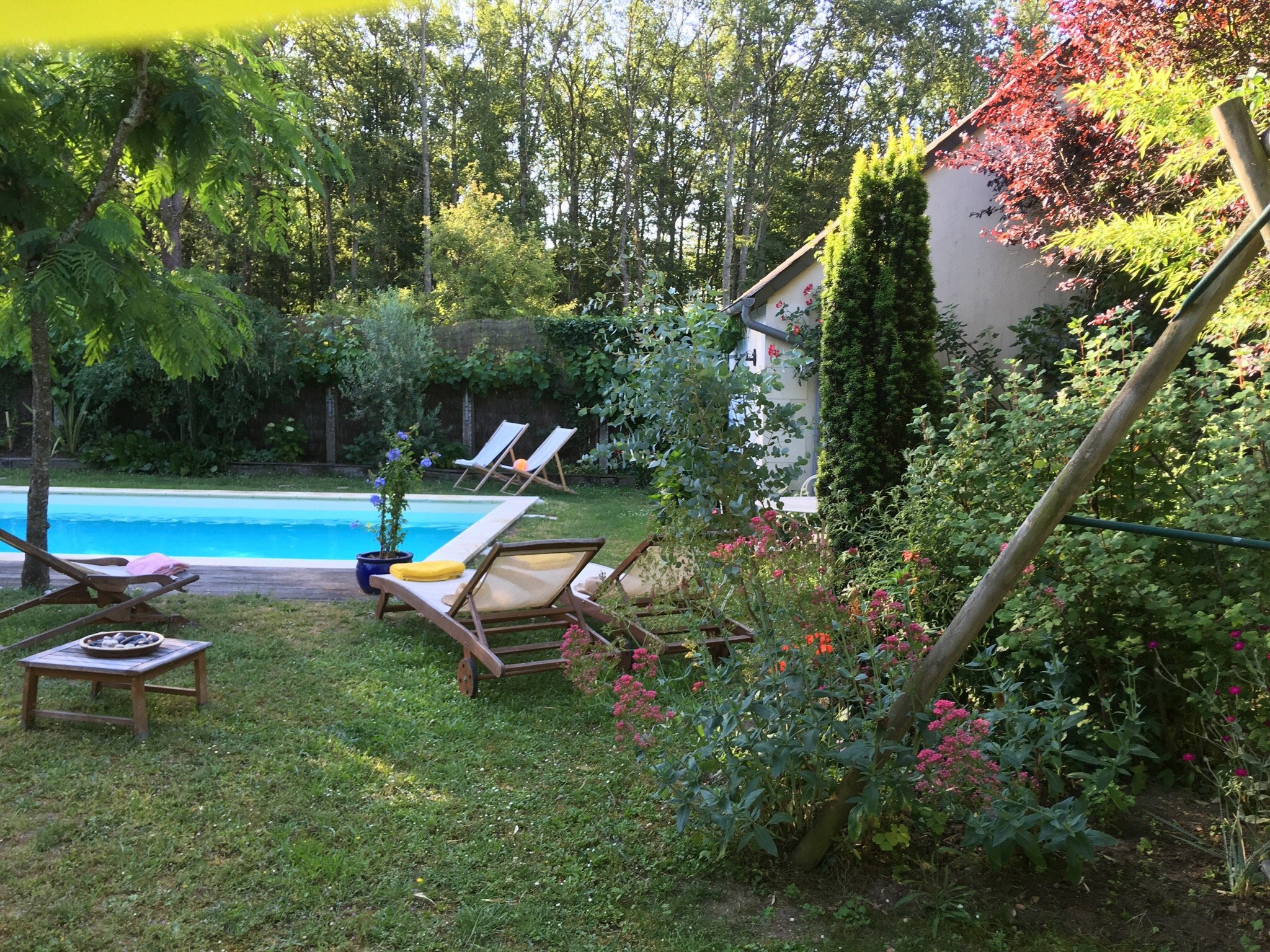 Logis du Lievre d'Or-酒店景观