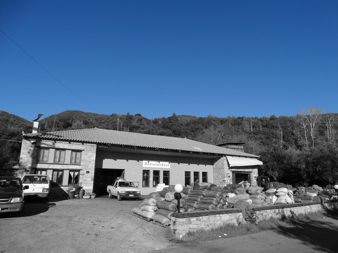 Olive Tour & Tasting景点图片