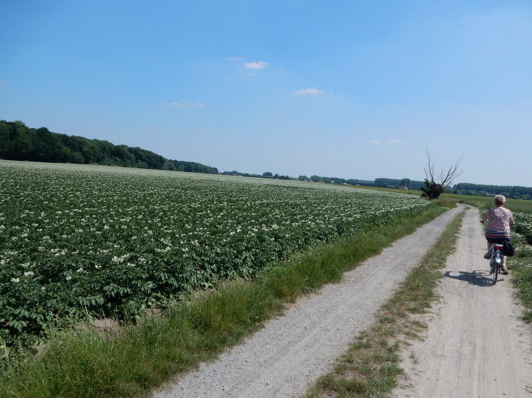 Drongengoed Bicycle Trail景点图片