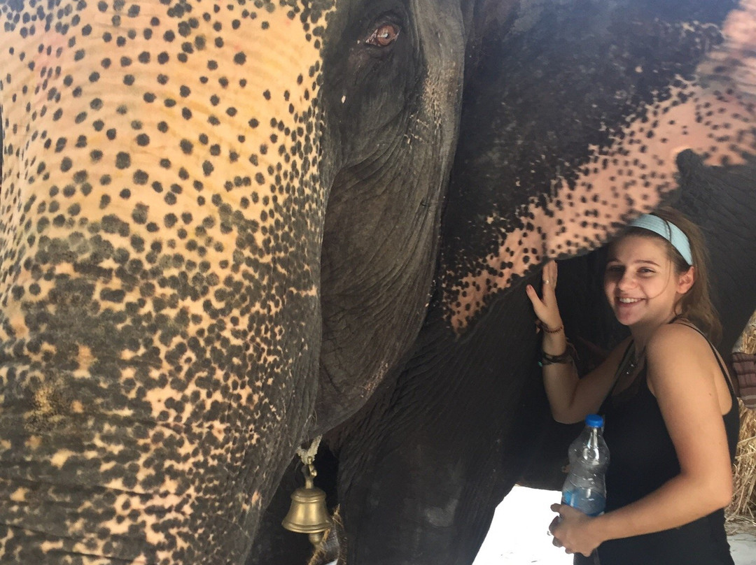 EleJaipur-斋蒲尔必去景点