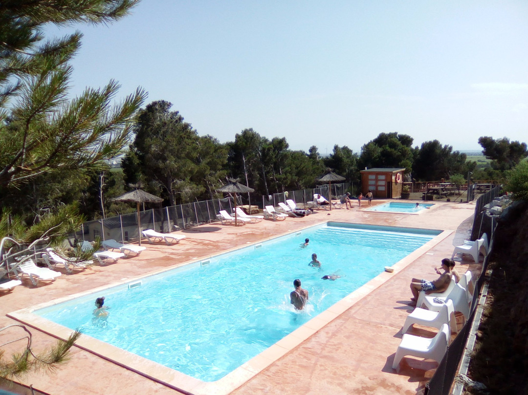 Camping le Bois de Pins