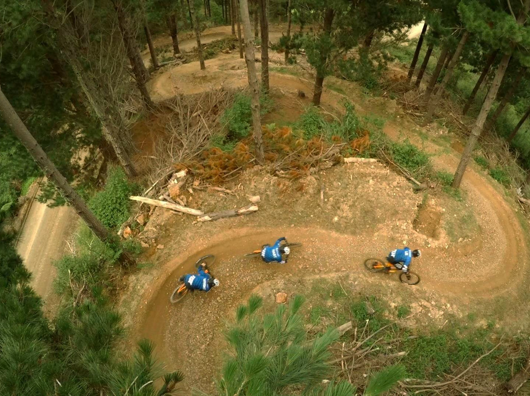 Fourforty Mountain Bike Park-Orere Point必去景点