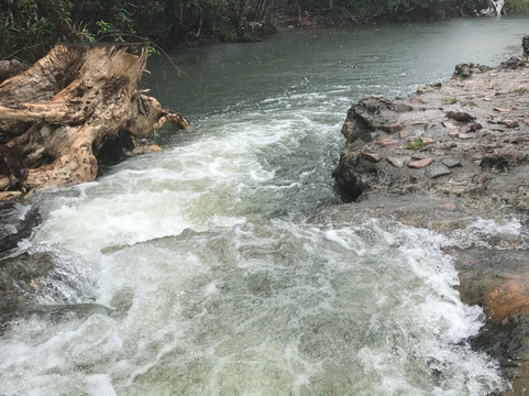 Hinchinbrook Hiking-卡德威尔必去景点