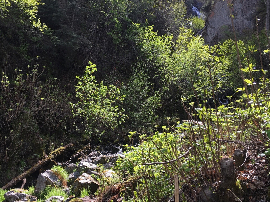 Pioneer Falls-帕尔默必去景点