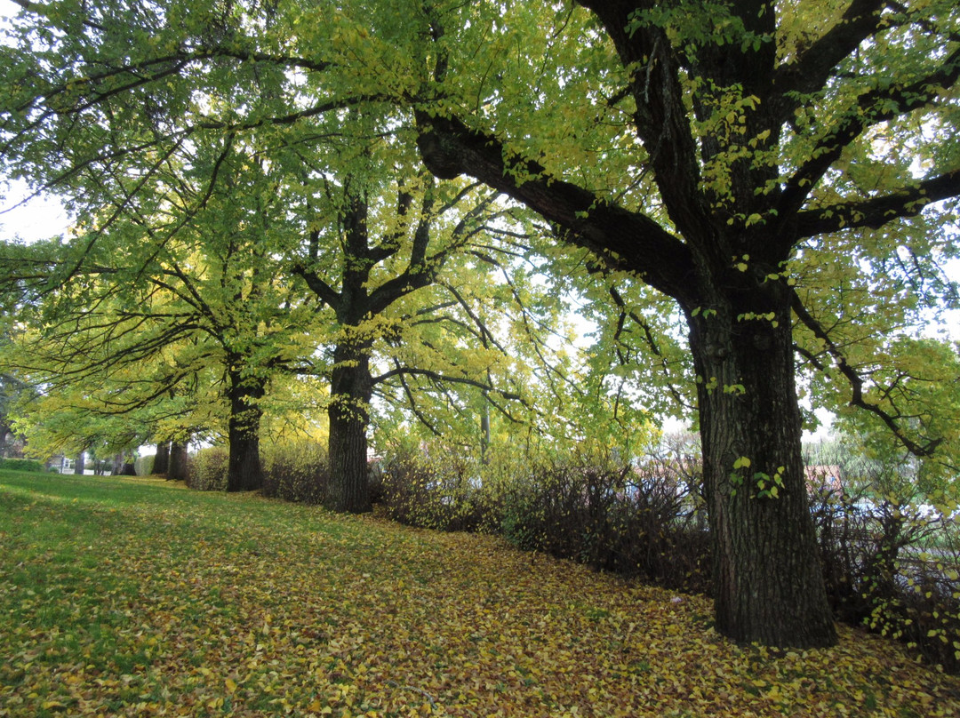 凯尼顿旅游景点-Kyneton Botanical Gardens