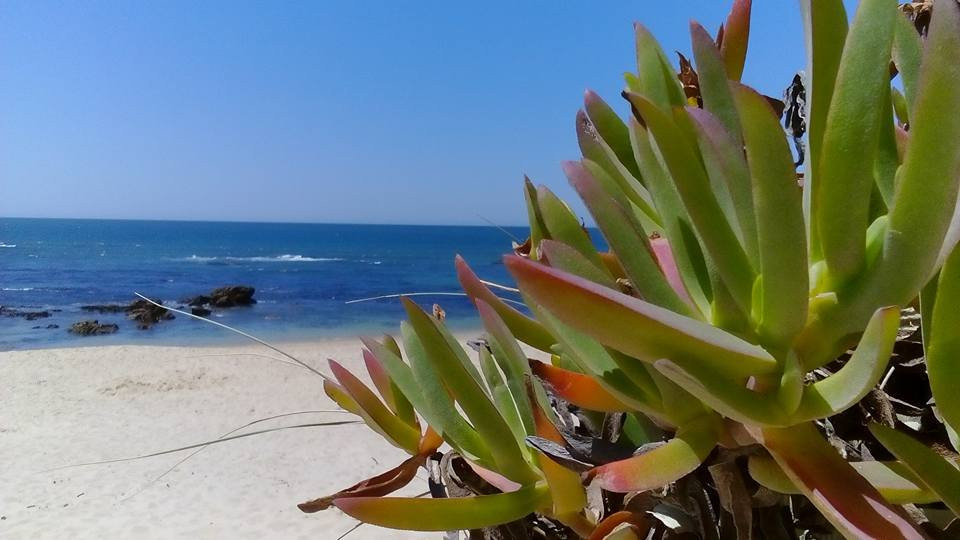 i-Dive Spirit-Mindelo必去景点