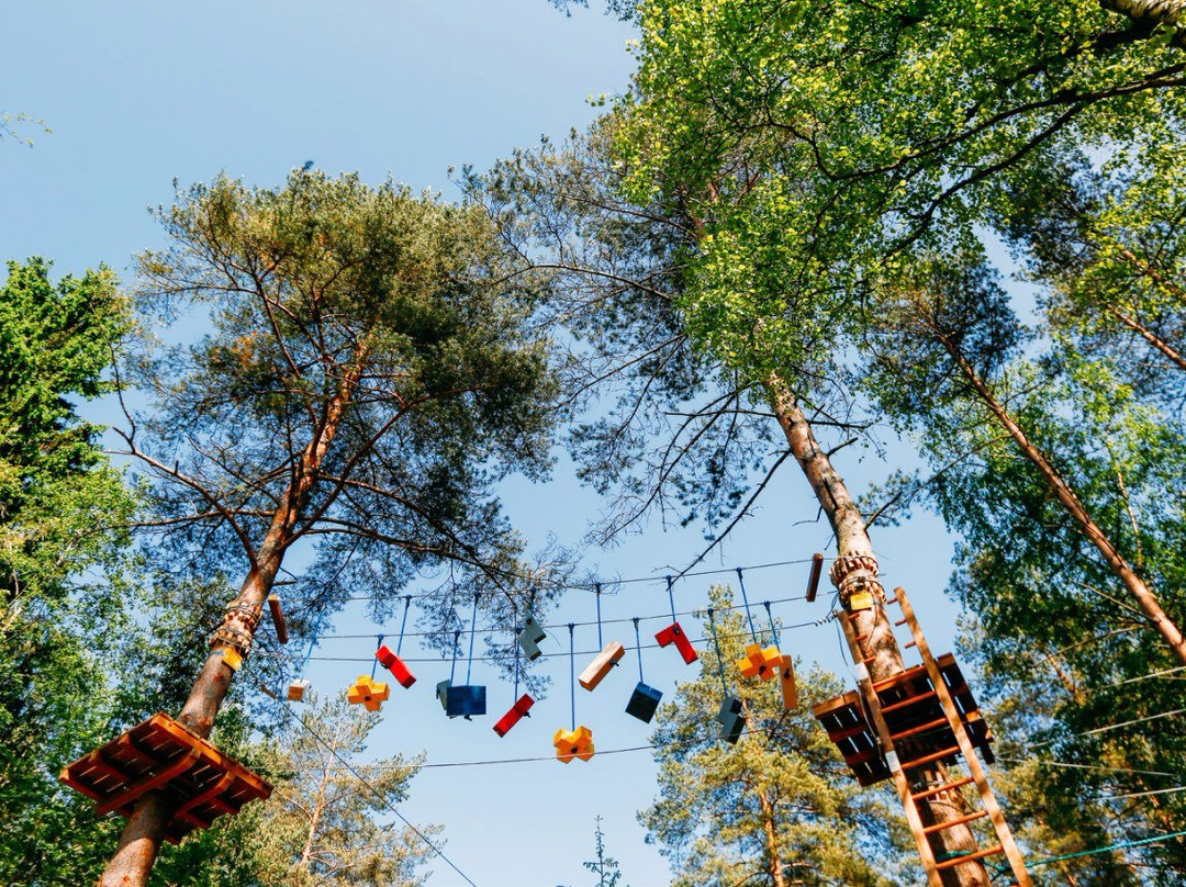 Rope Park Okhta Park景点图片