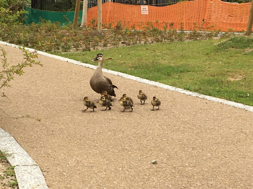 Kyuhojiryokuchi-八尾市必去景点