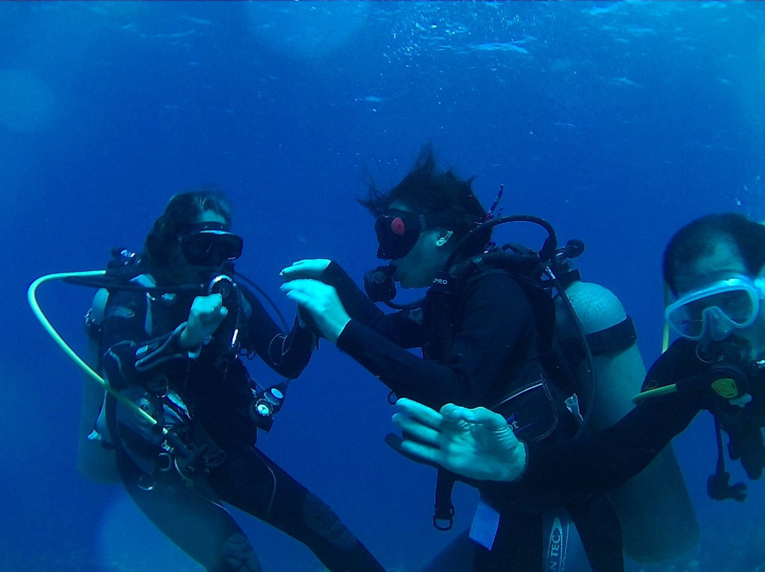 Dive Center Los Roques景点图片