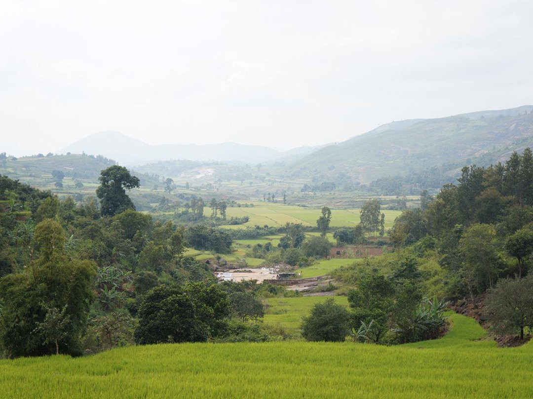 Kollaput Jala Tarangini-Araku Valley必去景点