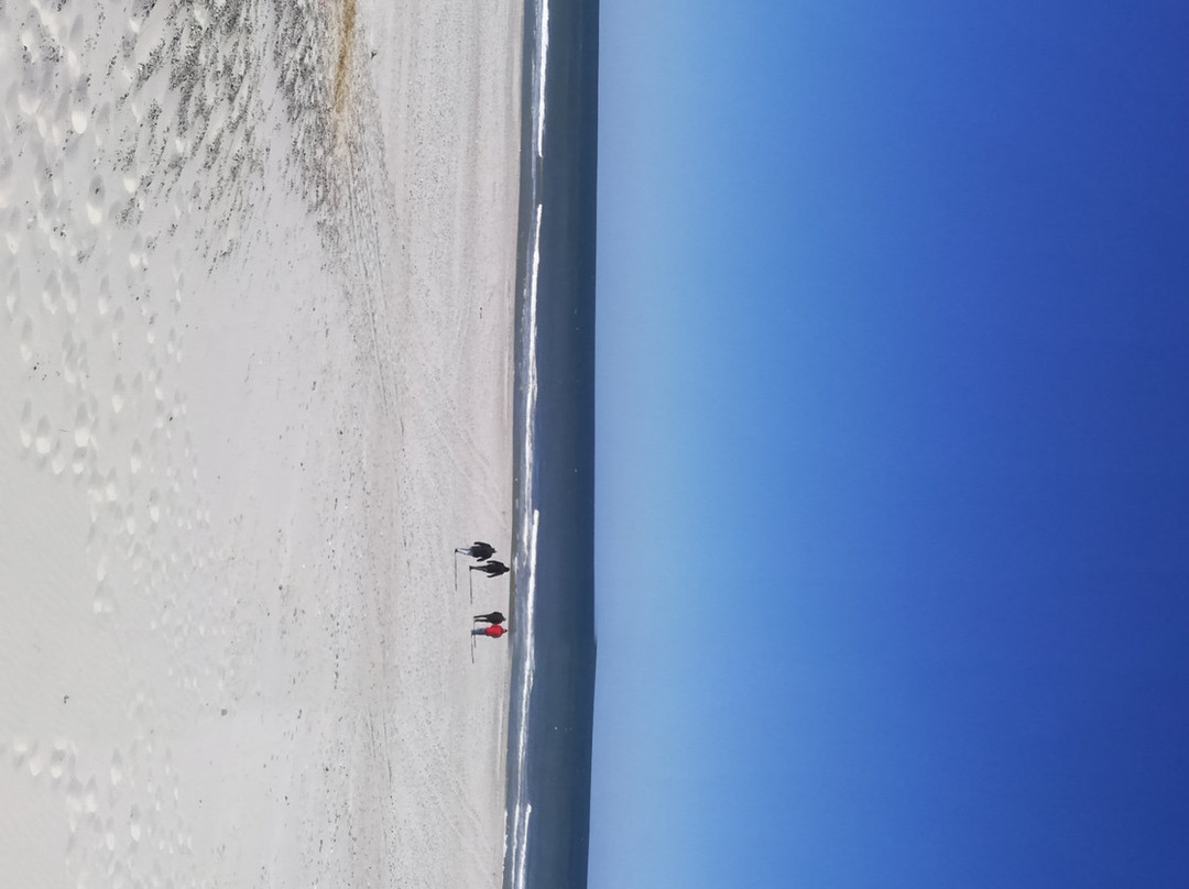 Nymindegab Strand-瓦德必去景点