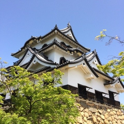 彦根城-彦根市必去景点