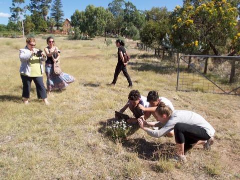 Our WA-珀斯必去景点