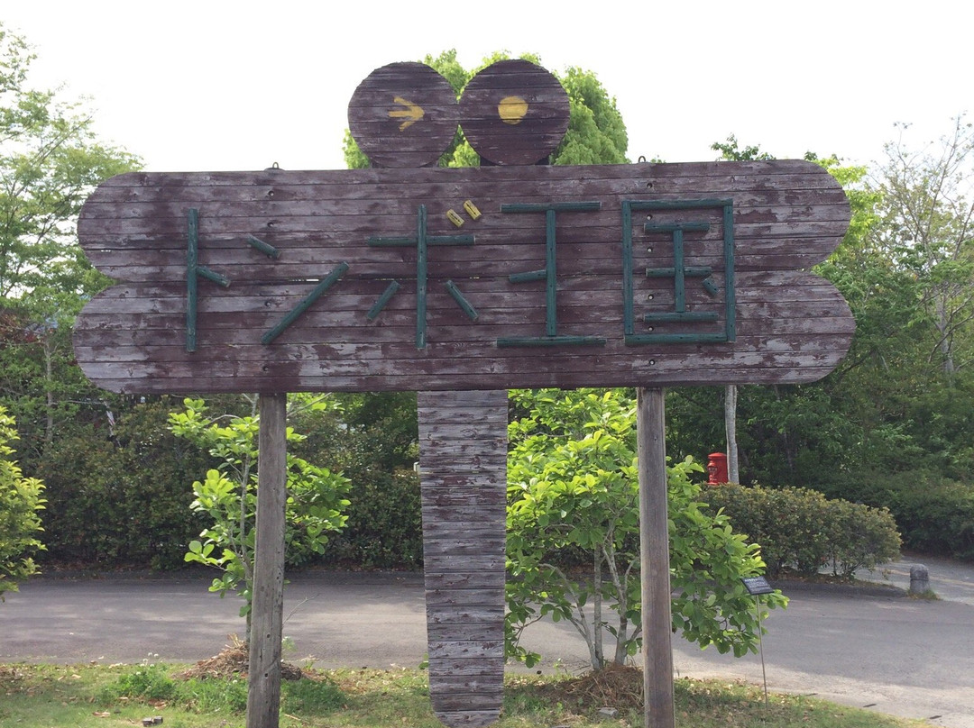 Dragonfly Nature Park-四万十市必去景点