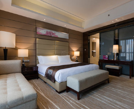 龙岗珠江皇冠假日酒店-客卧