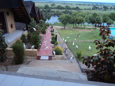 Zambezi旅游攻略图片