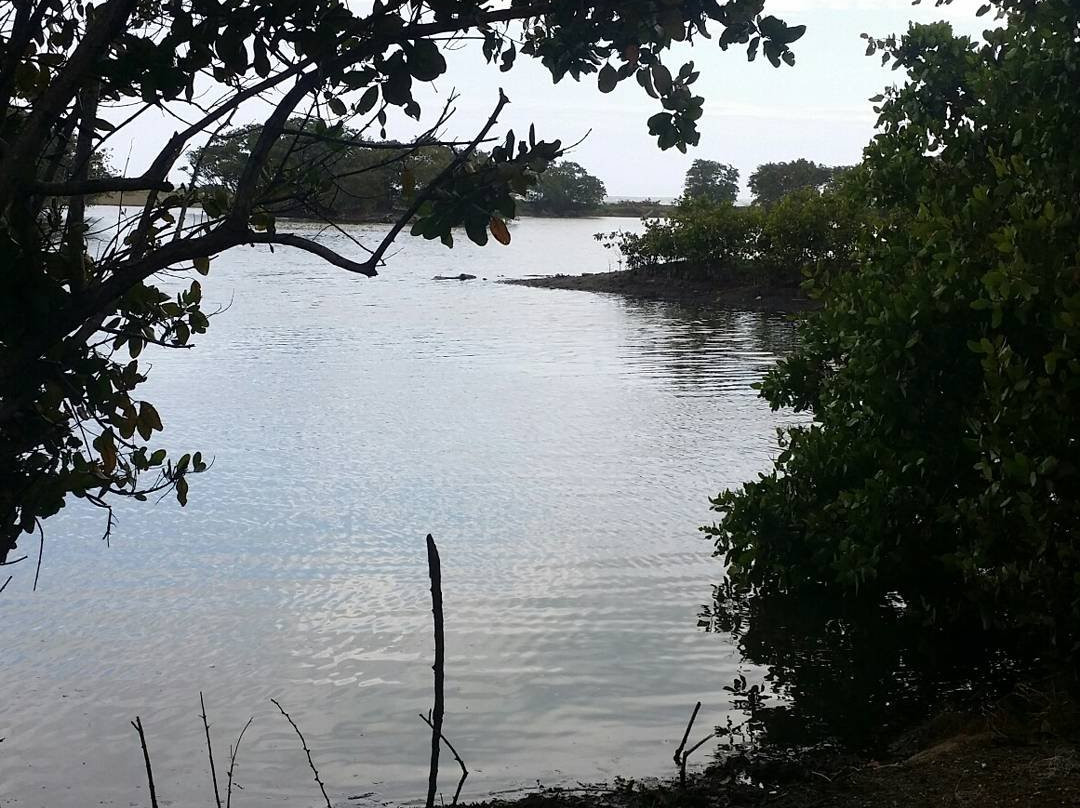 Nigua Ecological Park-San Cristobal必去景点