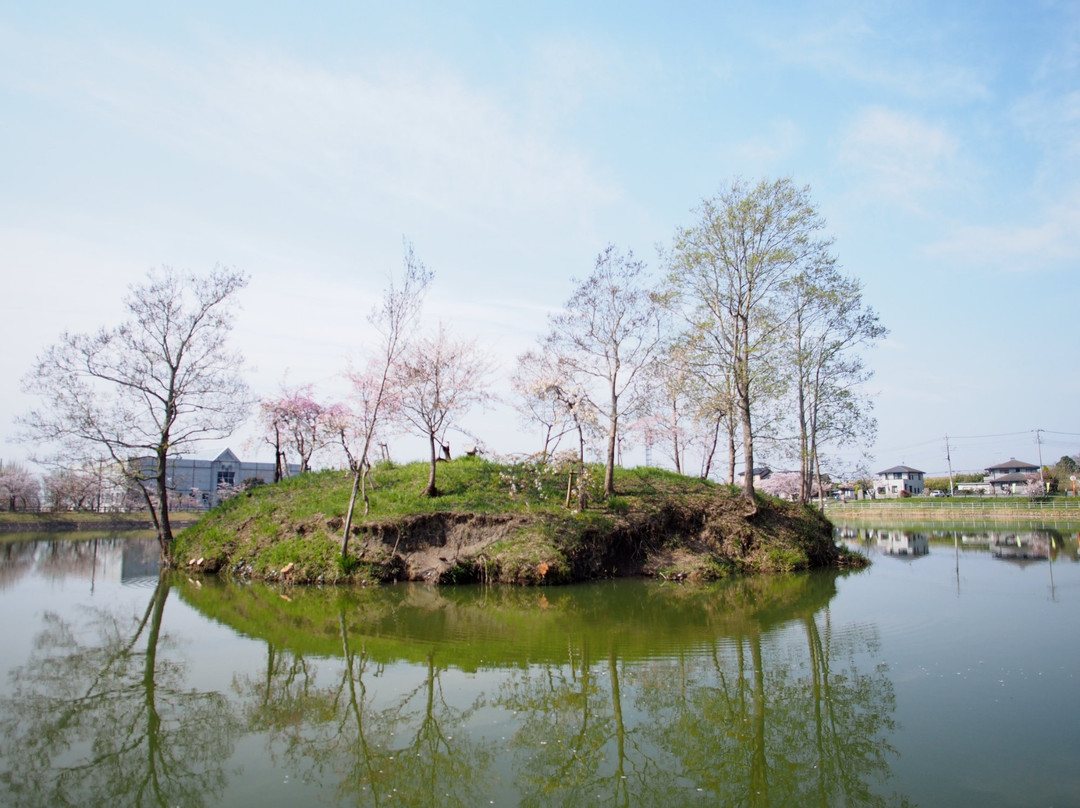 Hojo Oike Pond-筑波市必去景点