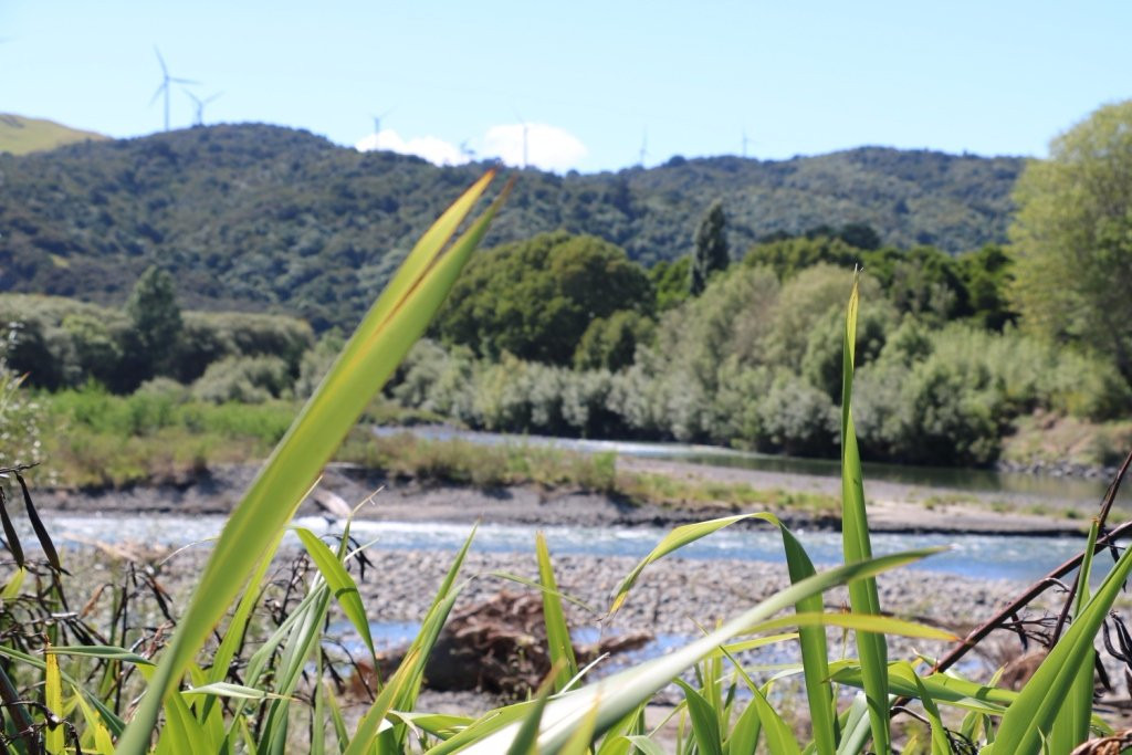 Pohangina River景点图片
