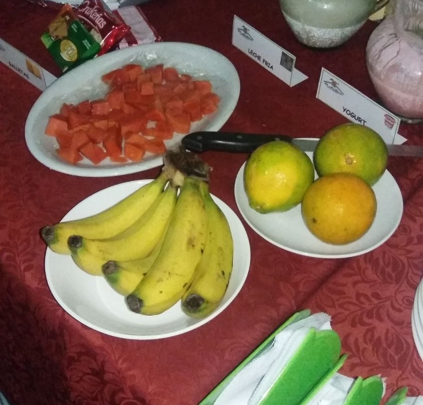 Hotel El Andino主图