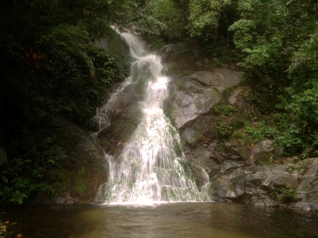 Finca Carpe Diem