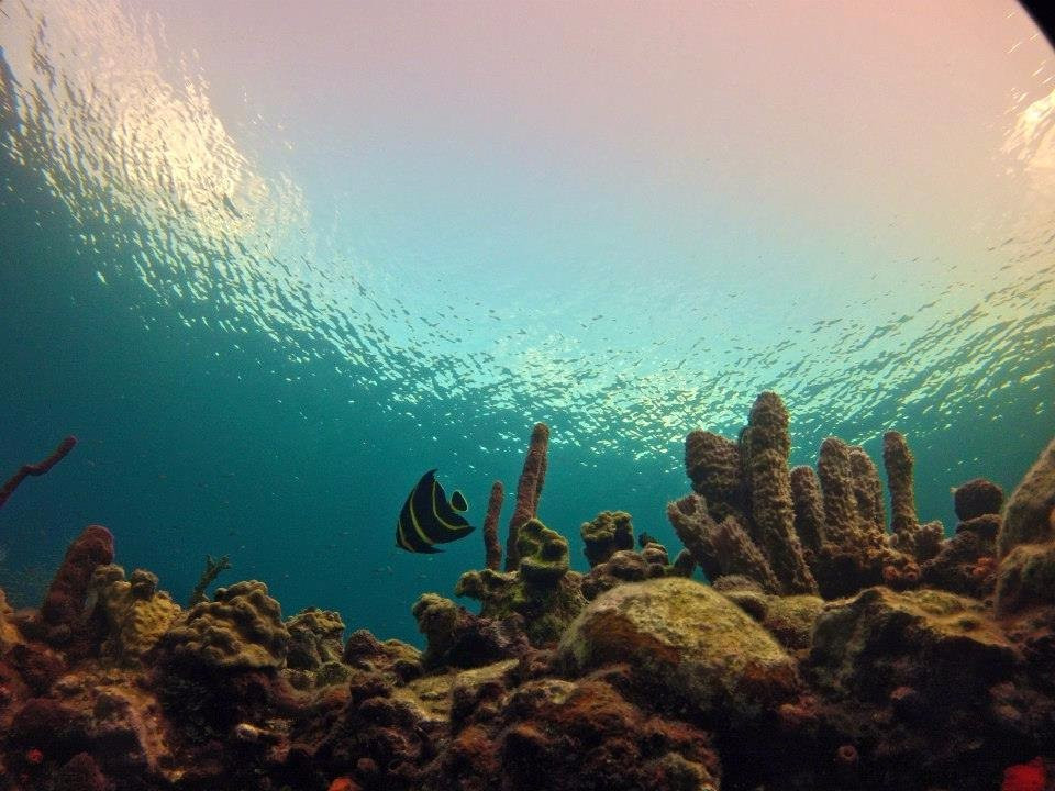 Island Dive Operations-Portsmouth必去景点