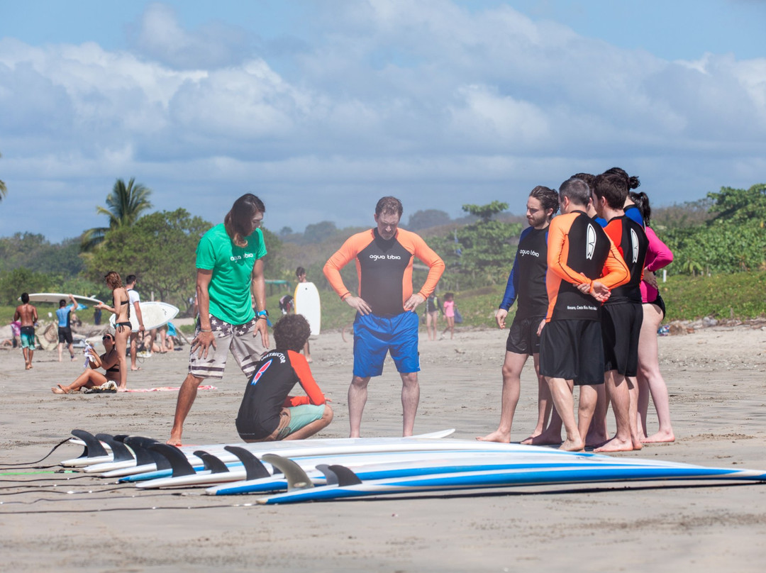 Agua Tibia Surf School景点图片
