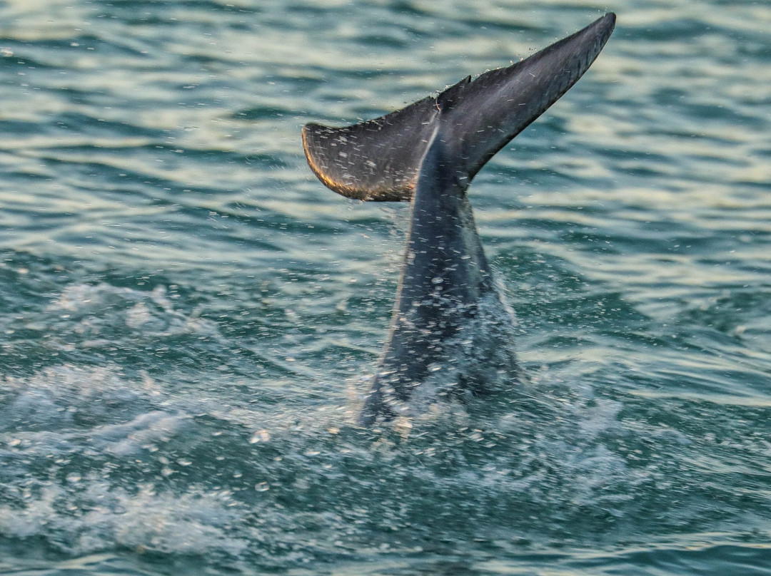 Beach Road Watersports-恩格尔伍德必去景点