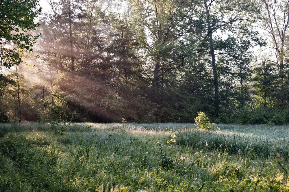 Santi Angeli旅游景点-Palù del Quartier del Piave