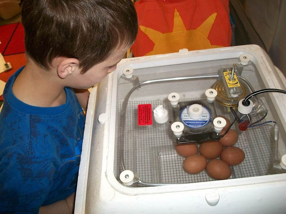 Snipes Farm & Education Center-Morrisville必去景点