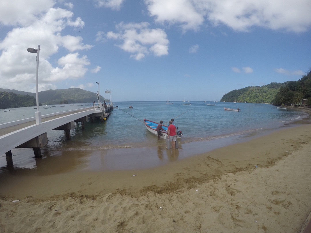 Wild Turtle Scuba Tobago Ltd.-Bon Accord必去景点