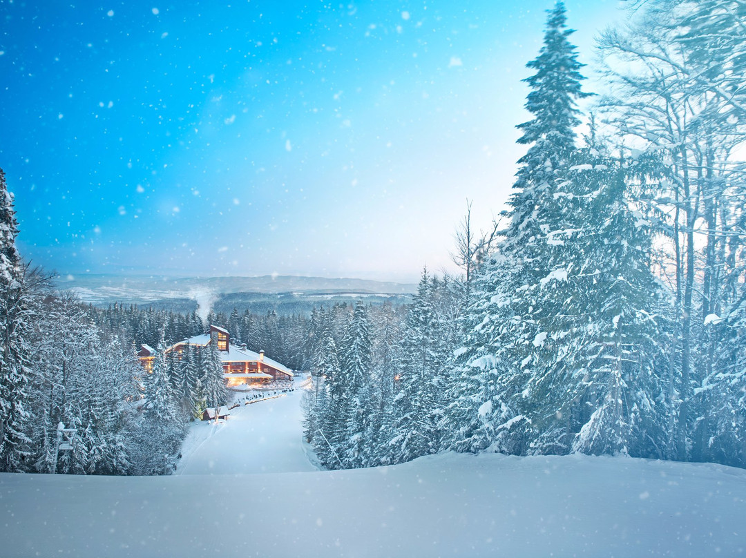波罗维兹酒店住宿-雅斯雷贝茨健康温泉酒店