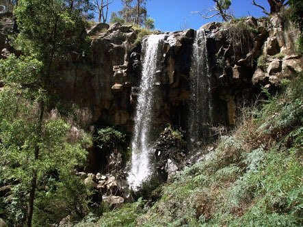 Creswick Regional Park-Creswick必去景点