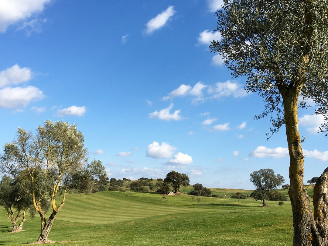 Don Tello Club de Golf景点图片