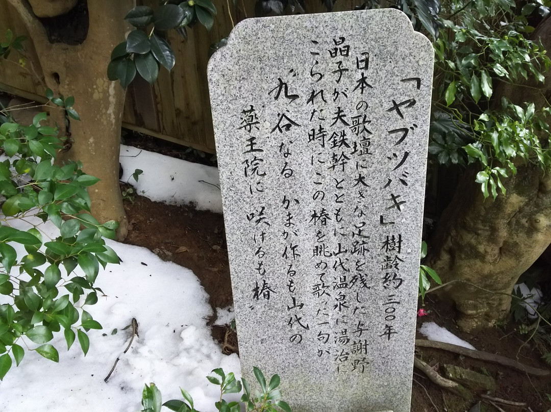 Hattori Shrine景点图片