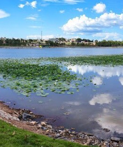 Parque Das Águas Seo Fiote景点门票图片