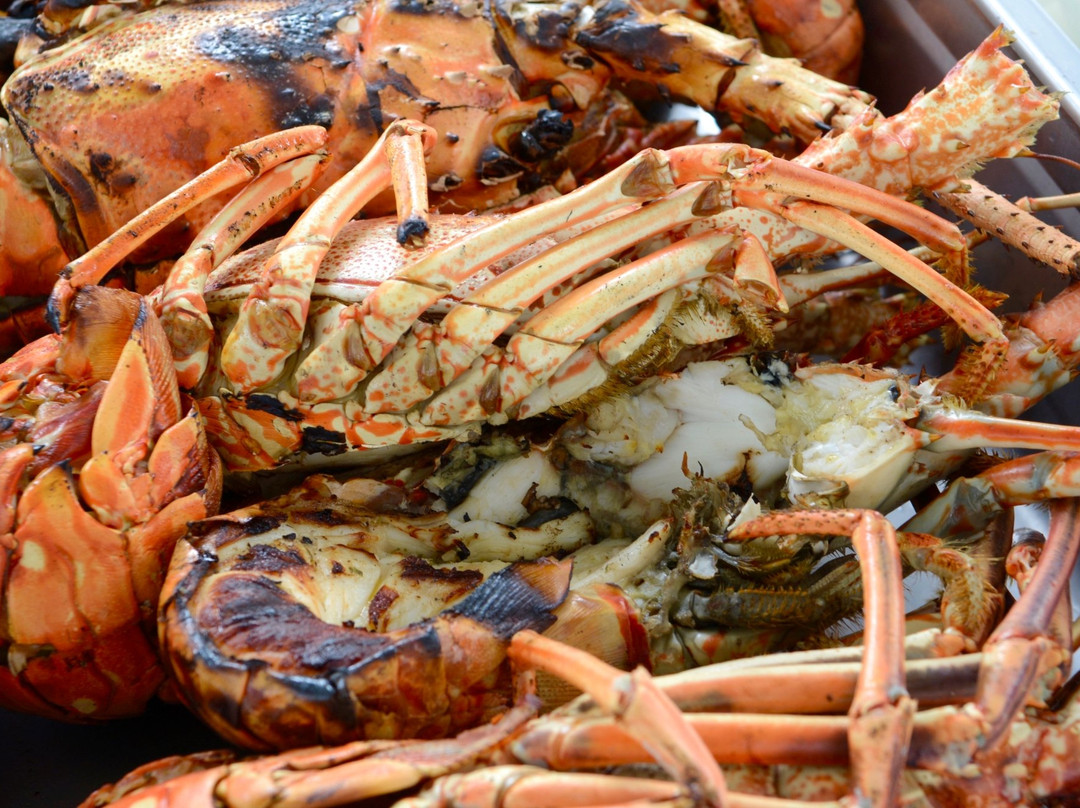 Jolly Cat Charters-Saint Mary's必去景点