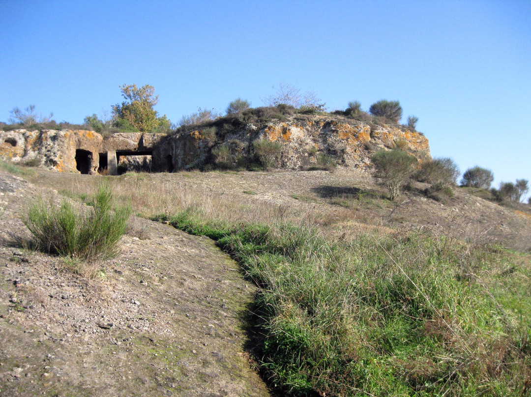 Grotte Porcine景点图片