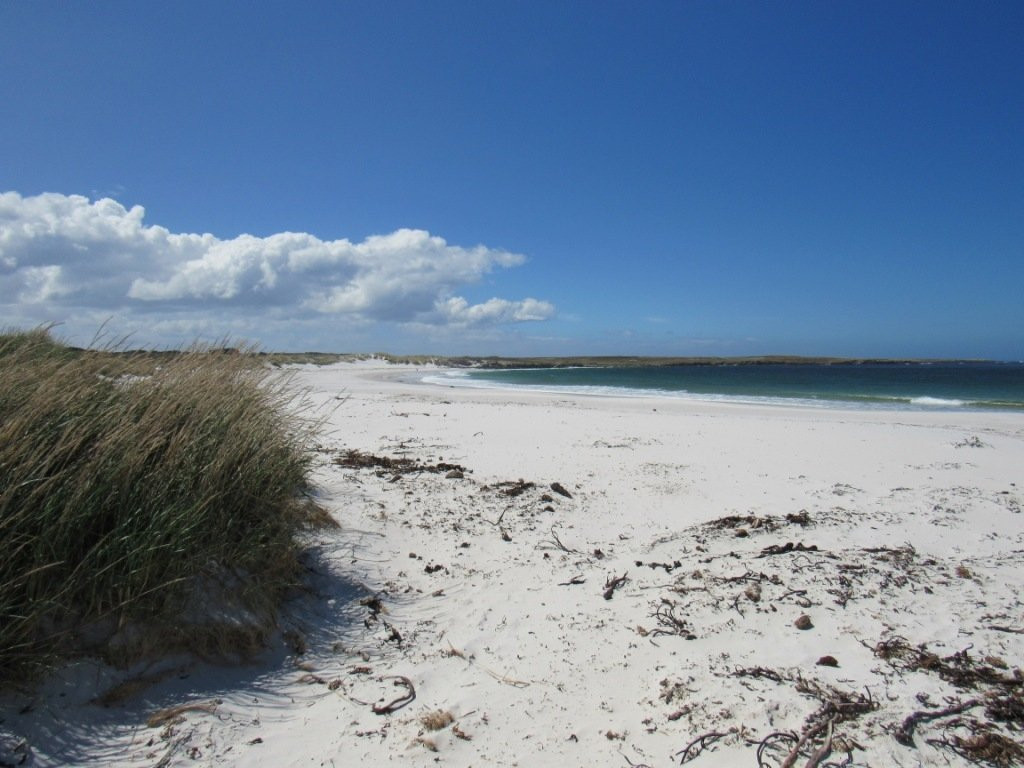 Surf Bay-Stanley必去景点