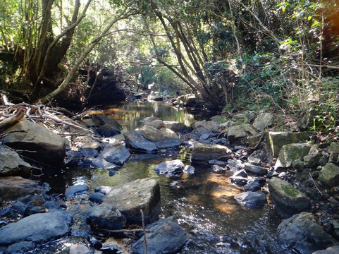 Lushington Valley Reserve-Bathurst必去景点