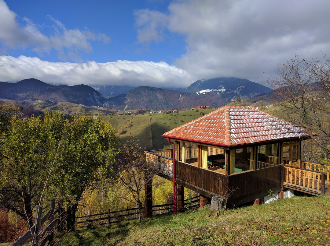 Alpine Escape Studios