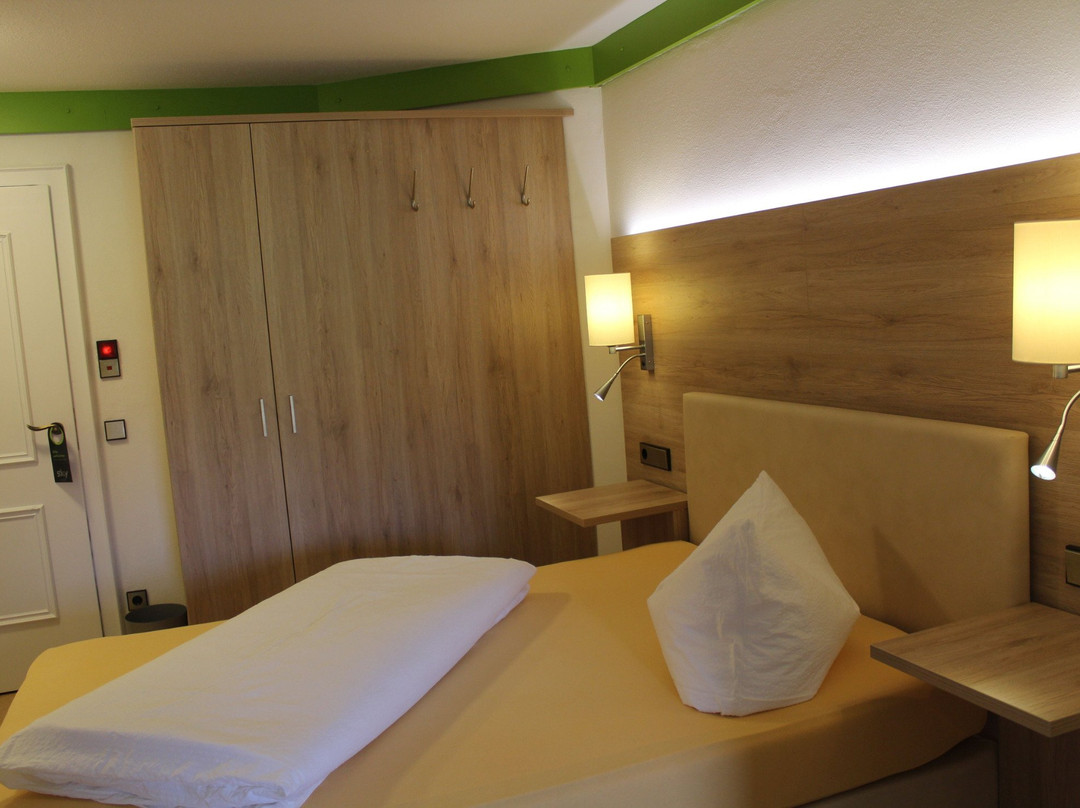 Neukirchen bei Sulzbach-Rosenberg酒店住宿-Hotel Goldener Greif