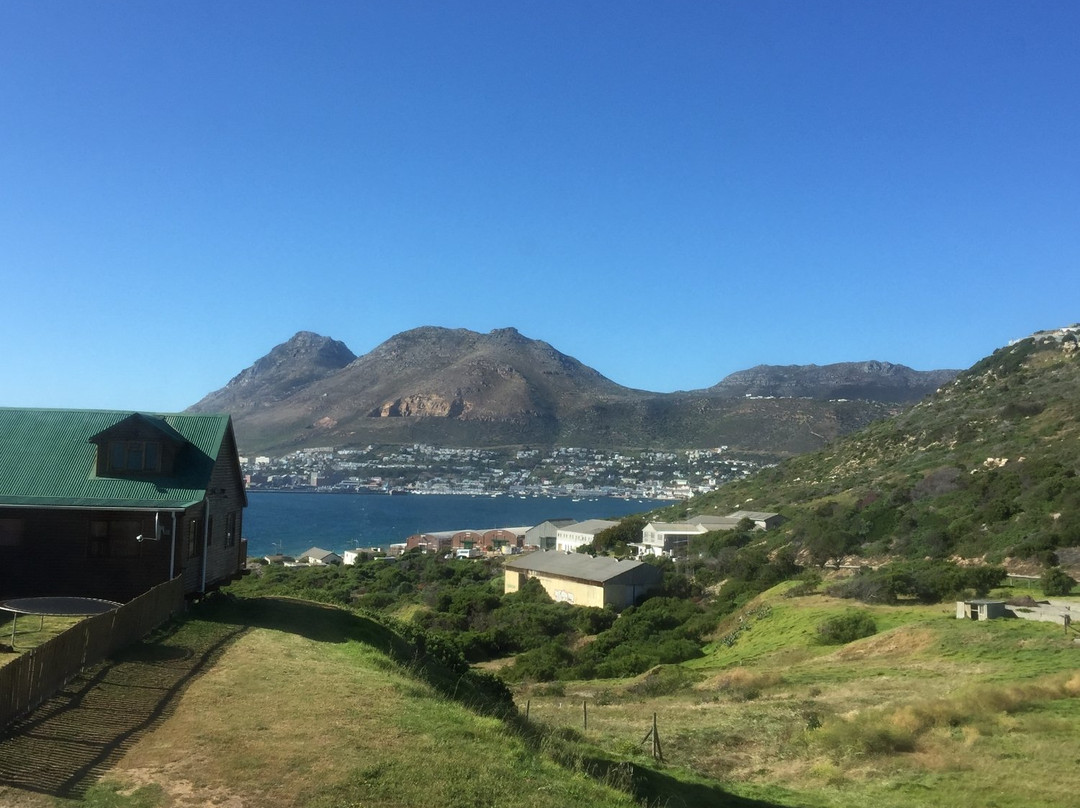 15 on Penguin Guest House主图