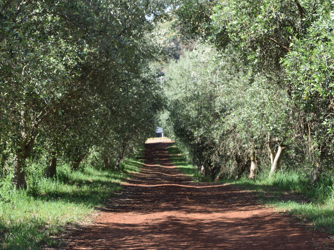 Myrrhee旅游攻略图片